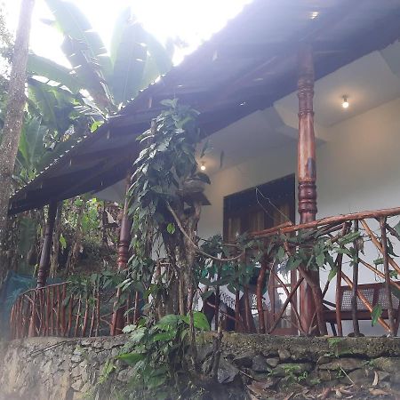 Dulmini Homestay Ella Zewnętrze zdjęcie
