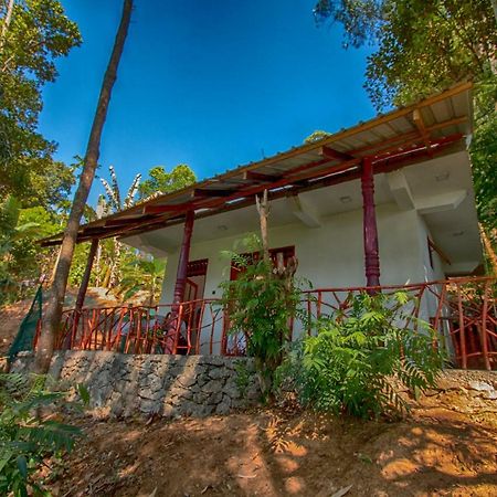 Dulmini Homestay Ella Zewnętrze zdjęcie